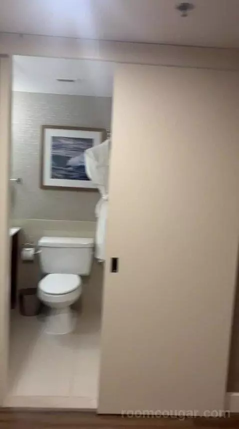 Traditional, Guest Room, 1 King (#726) bathroom picture #1