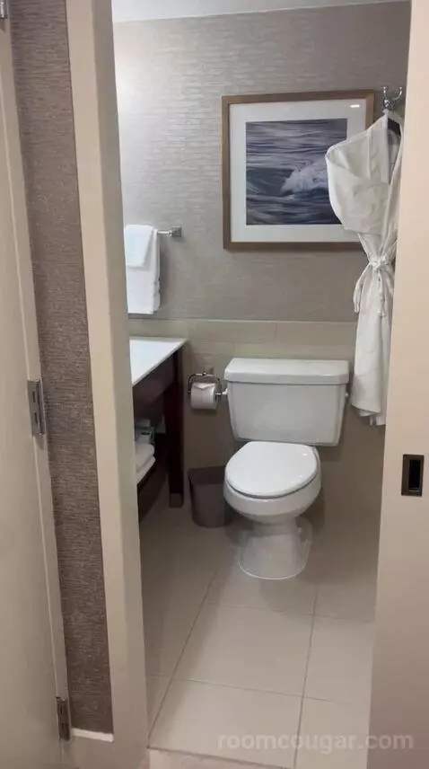 Traditional, Guest Room, 1 King (#726) bathroom picture #3