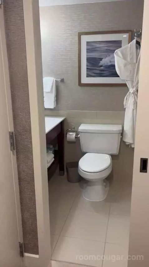 Traditional, Guest Room, 1 King (#726) bathroom picture #4