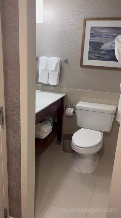 Traditional, Guest Room, 1 King (#726) bathroom picture #5