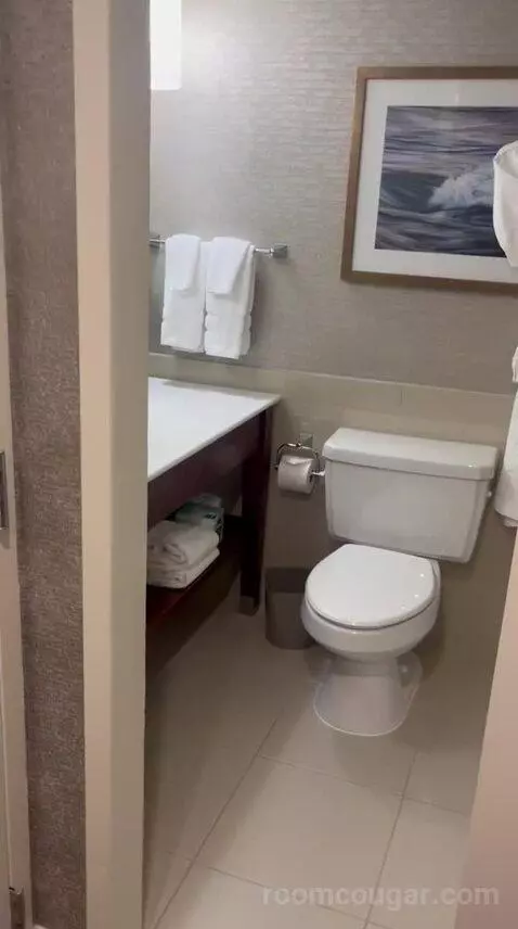 Traditional, Guest Room, 1 King (#726) bathroom picture #6