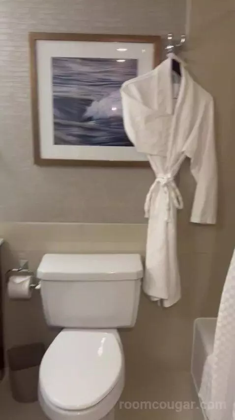 Traditional, Guest Room, 1 King (#726) bathroom picture #7