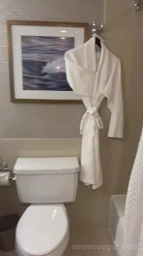 Traditional, Guest Room, 1 King (#726) bathroom picture #8