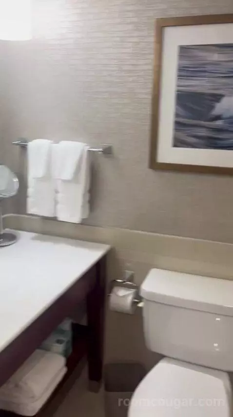 Traditional, Guest Room, 1 King (#726) bathroom picture #9