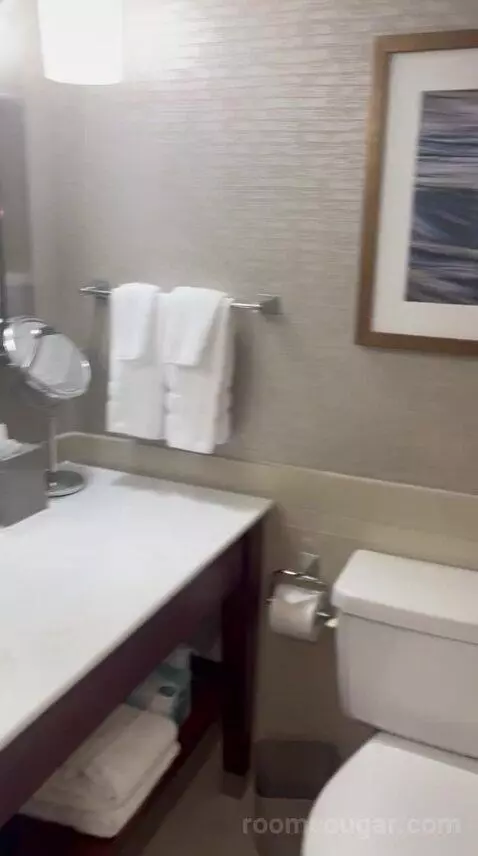 Traditional, Guest Room, 1 King (#726) bathroom picture #10