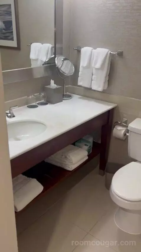 Traditional, Guest Room, 1 King (#726) bathroom picture #11