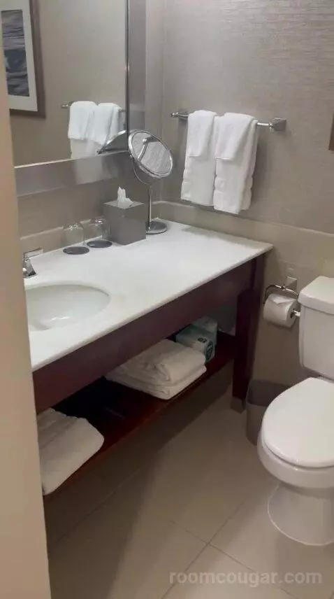 Traditional, Guest Room, 1 King (#726) bathroom picture #12
