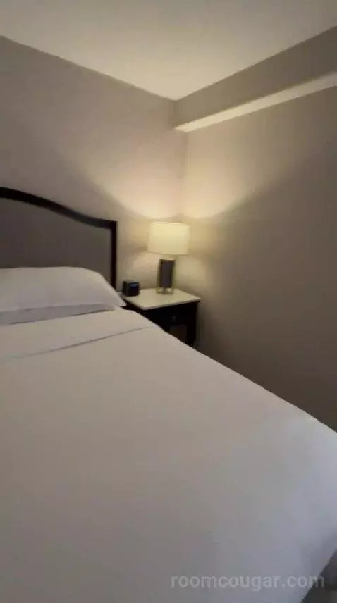 Standard (#517) bed picture #3