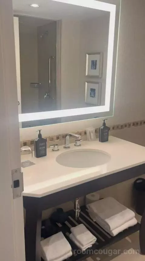 Standard (#517) bathroom picture #1