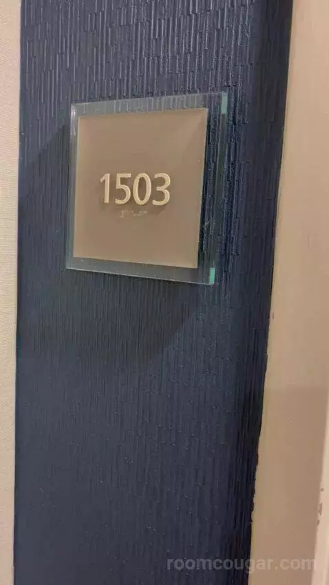 Deluxe, Guest Room, 1 King, High Floor (#1503) picture #1