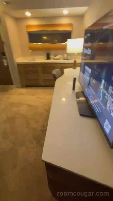 Deluxe, Guest Room, 1 King, High Floor (#1503) picture #12