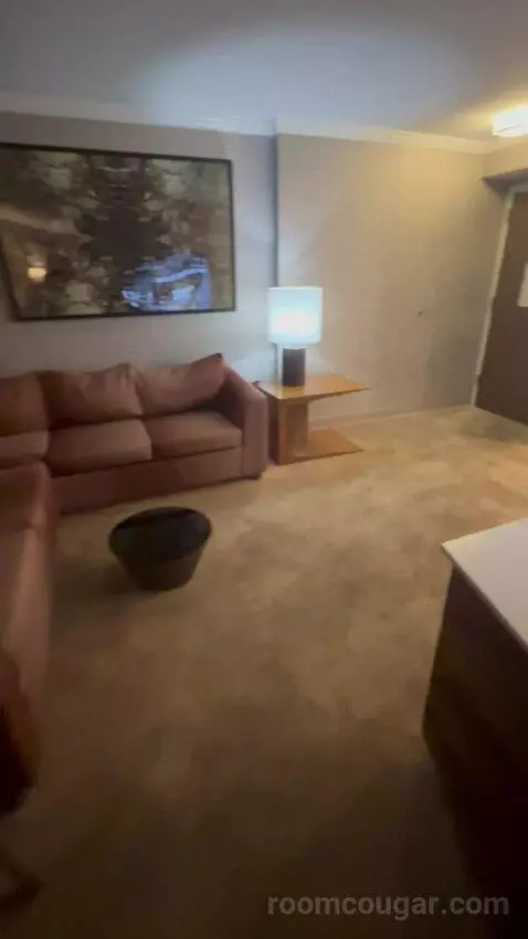 Deluxe, Guest Room, 1 King, High Floor (#1503) picture #13
