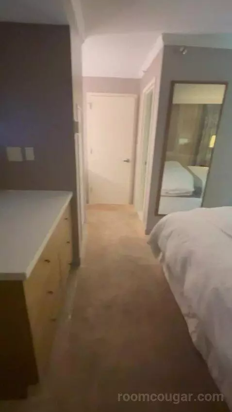 Deluxe, Guest Room, 1 King, High Floor (#1503) picture #15