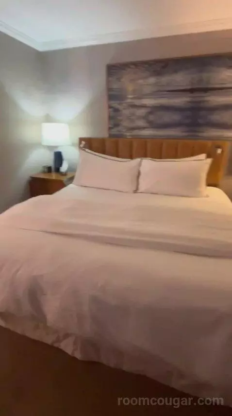 Deluxe, Guest Room, 1 King, High Floor (#1503) bed picture #1