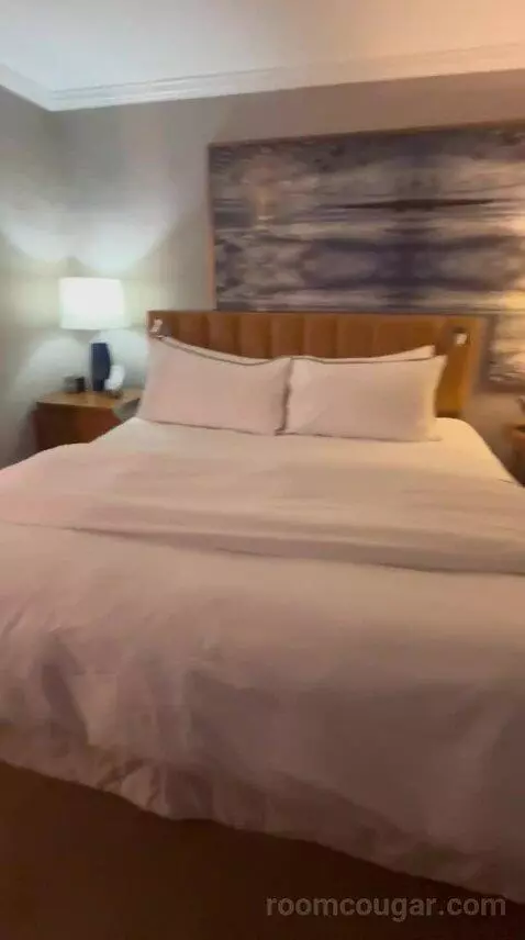 Deluxe, Guest Room, 1 King, High Floor (#1503) bed picture #2