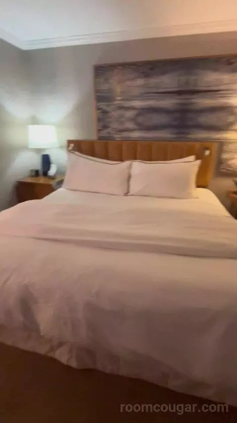 Deluxe, Guest Room, 1 King, High Floor (#1503) picture #16