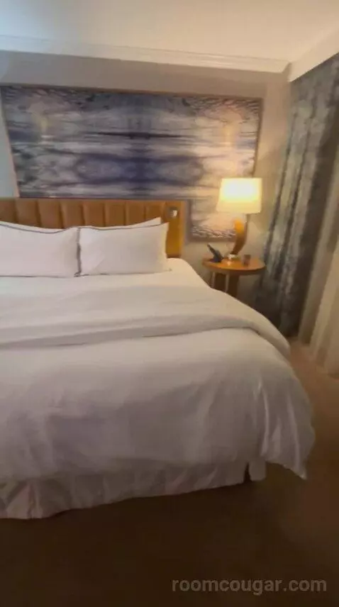 Deluxe, Guest Room, 1 King, High Floor (#1503) bed picture #3