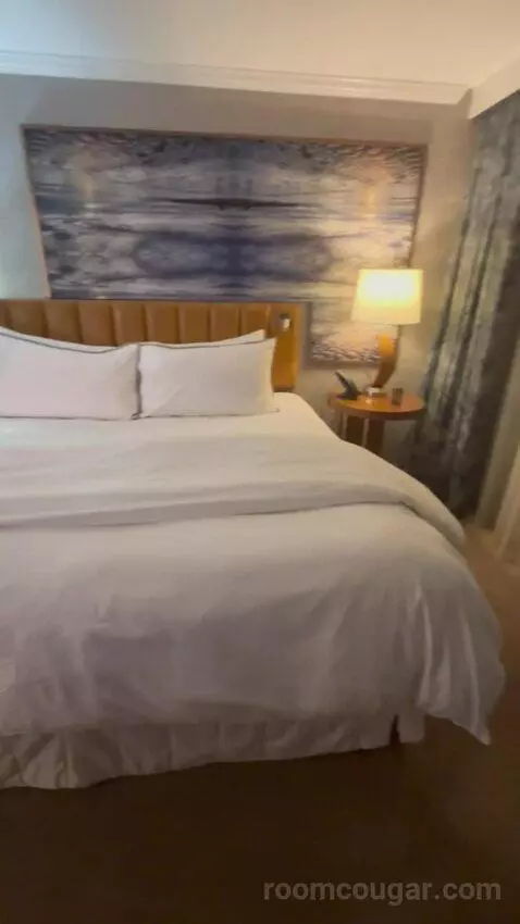 Deluxe, Guest Room, 1 King, High Floor (#1503) picture #17