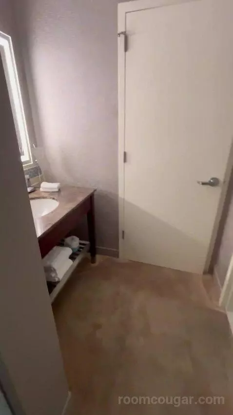 Deluxe, Guest Room, 1 King, High Floor (#1503) picture #19