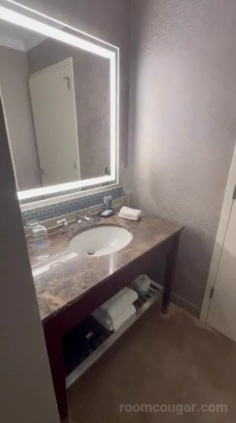 Deluxe, Guest Room, 1 King, High Floor (#1503) bathroom picture #7