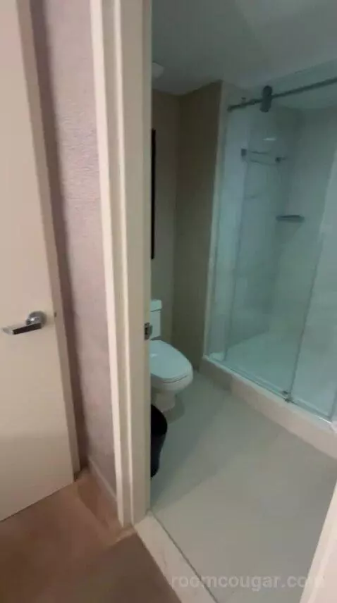 Deluxe, Guest Room, 1 King, High Floor (#1503) bathroom picture #10
