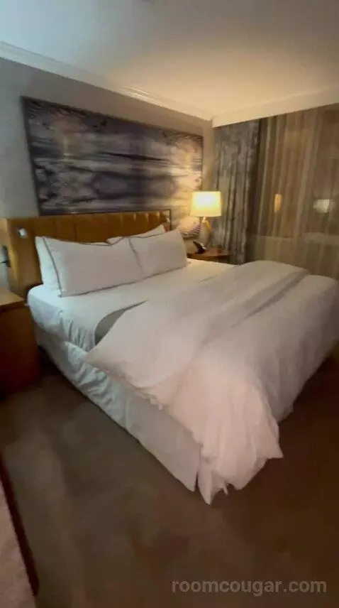 Deluxe, Guest Room, 1 King, High Floor (#1503) bed picture #7