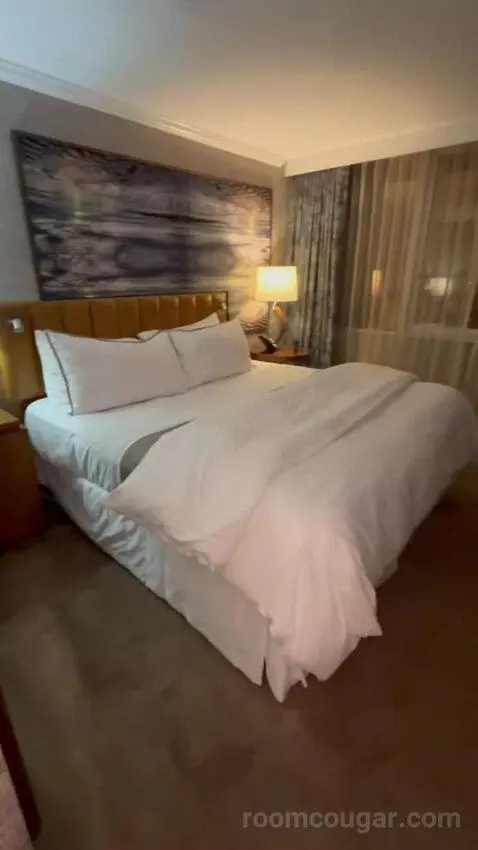 Deluxe, Guest Room, 1 King, High Floor (#1503) picture #23