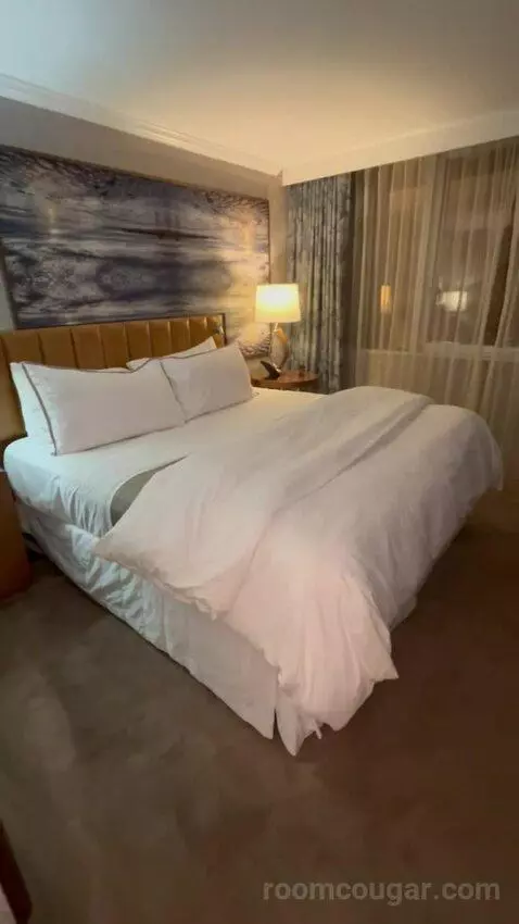 Deluxe, Guest Room, 1 King, High Floor (#1503) picture #24