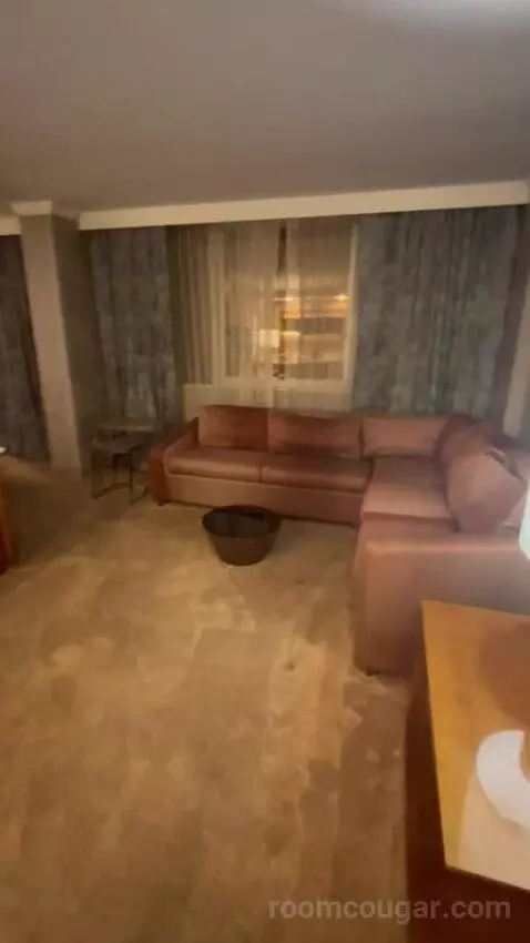 Deluxe, Guest Room, 1 King, High Floor (#1503) picture #4
