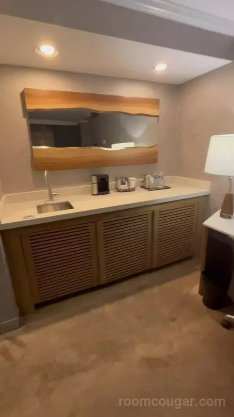 Deluxe, Guest Room, 1 King, High Floor (#1503) picture #7
