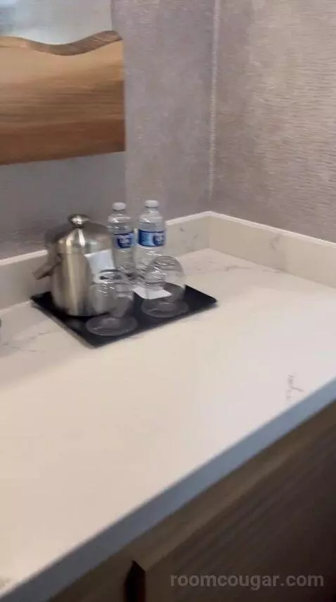 Deluxe, Guest Room, 1 King, High Floor (#1503) bathroom picture #3