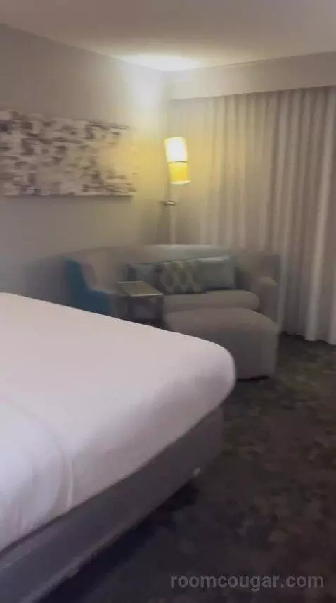 King Room with Sofa Bed (#313) bed picture #6