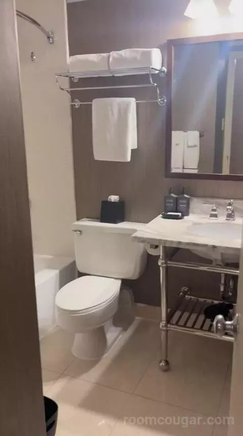 Double Room with Two Queen Beds (#1524) bathroom picture #1