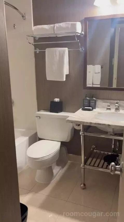 Double Room with Two Queen Beds (#1524) bathroom picture #2