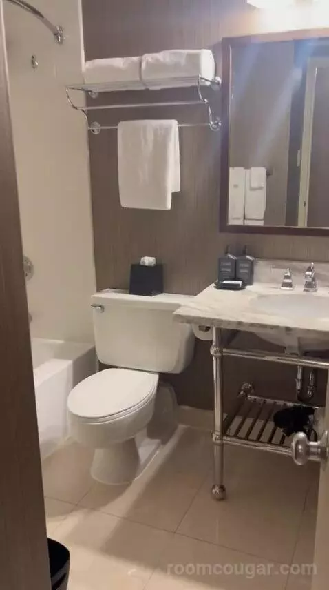 Double Room with Two Queen Beds (#1524) bathroom picture #3