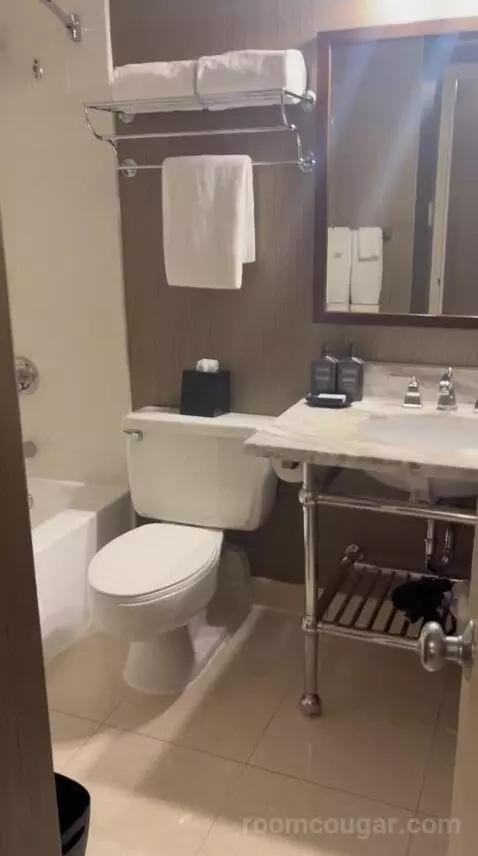Double Room with Two Queen Beds (#1524) bathroom picture #4