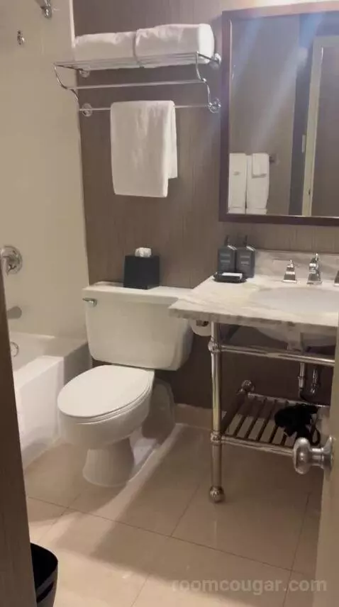 Double Room with Two Queen Beds (#1524) bathroom picture #5
