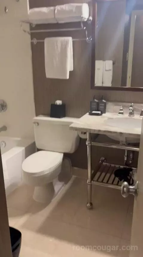 Double Room with Two Queen Beds (#1524) bathroom picture #6