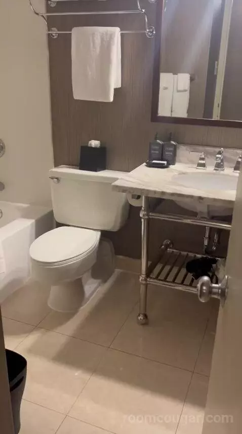Double Room with Two Queen Beds (#1524) bathroom picture #7
