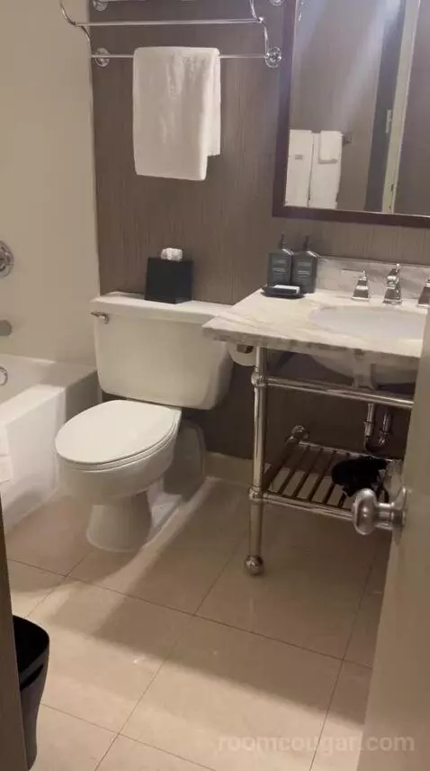 Double Room with Two Queen Beds (#1524) bathroom picture #8