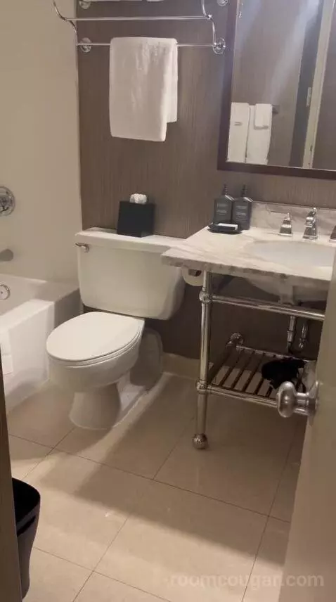 Double Room with Two Queen Beds (#1524) bathroom picture #9