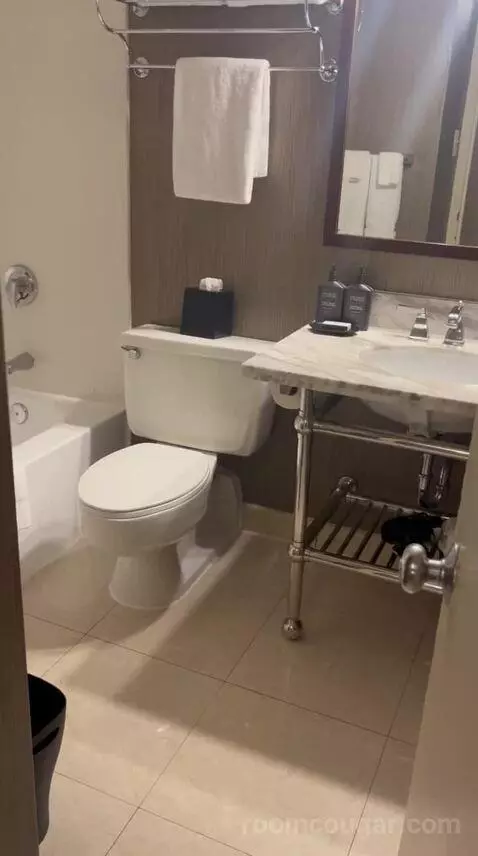 Double Room with Two Queen Beds (#1524) bathroom picture #10