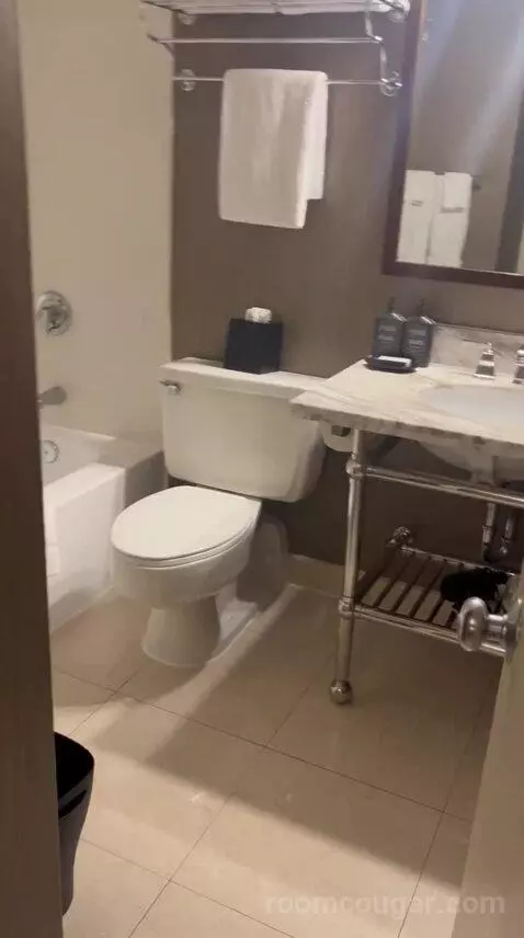 Double Room with Two Queen Beds (#1524) bathroom picture #11
