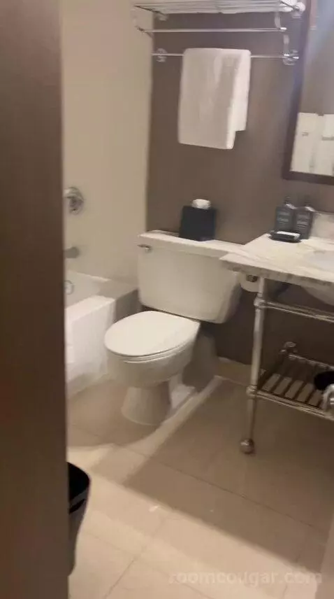Double Room with Two Queen Beds (#1524) bathroom picture #12