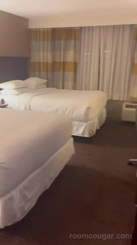 Double Room with Two Queen Beds (#1524) bed picture #4