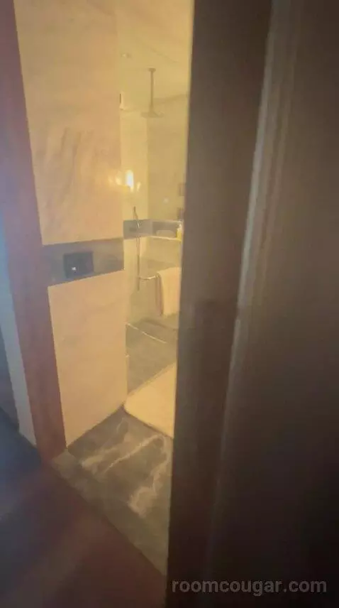 Junior Suite with Concierge Lounge Access and 1 King bathroom picture #1