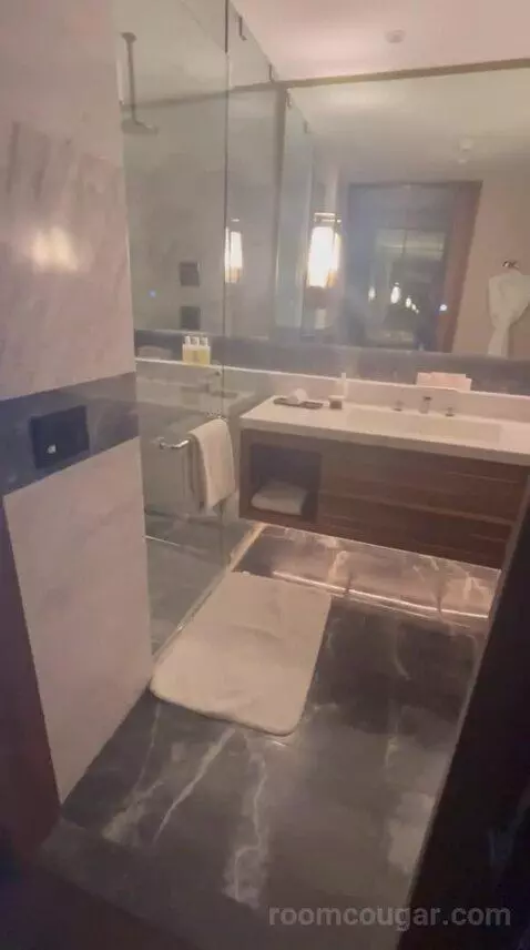 Junior Suite with Concierge Lounge Access and 1 King bathroom picture #5