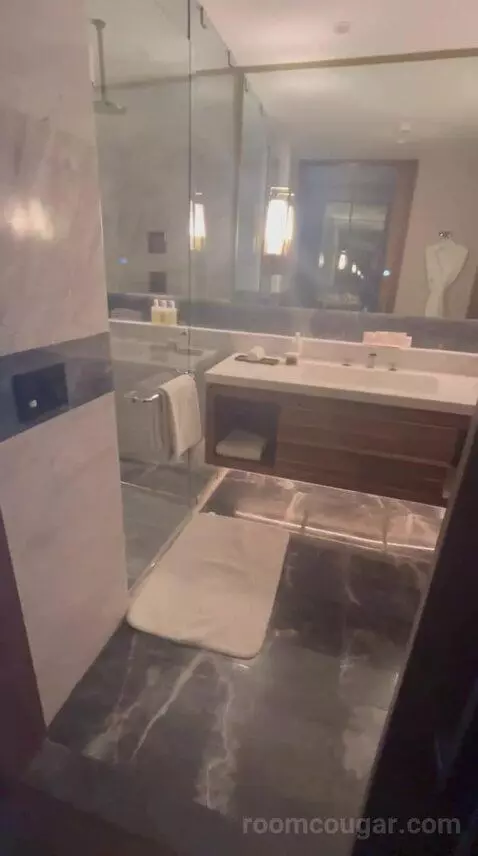 Junior Suite with Concierge Lounge Access and 1 King bathroom picture #6