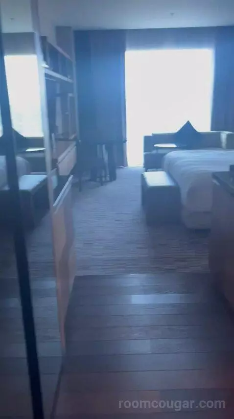 Junior Suite with Concierge Lounge Access and 1 King bed picture #8
