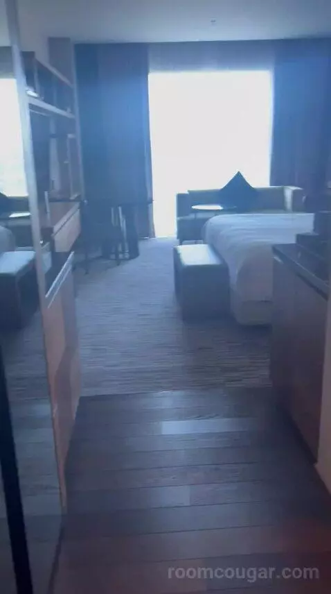 Junior Suite with Concierge Lounge Access and 1 King bed picture #9